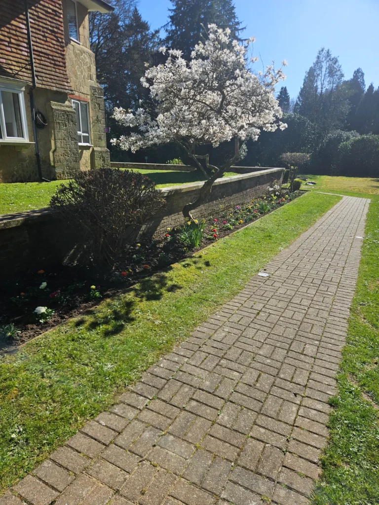 Maintained garden pathway bordered by a neatly mown lawn and planting bed.
