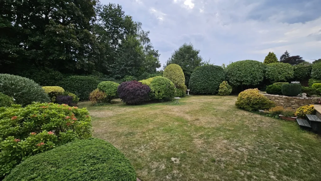 Landscaped residential garden with shaped shrubs and structured planting beds.