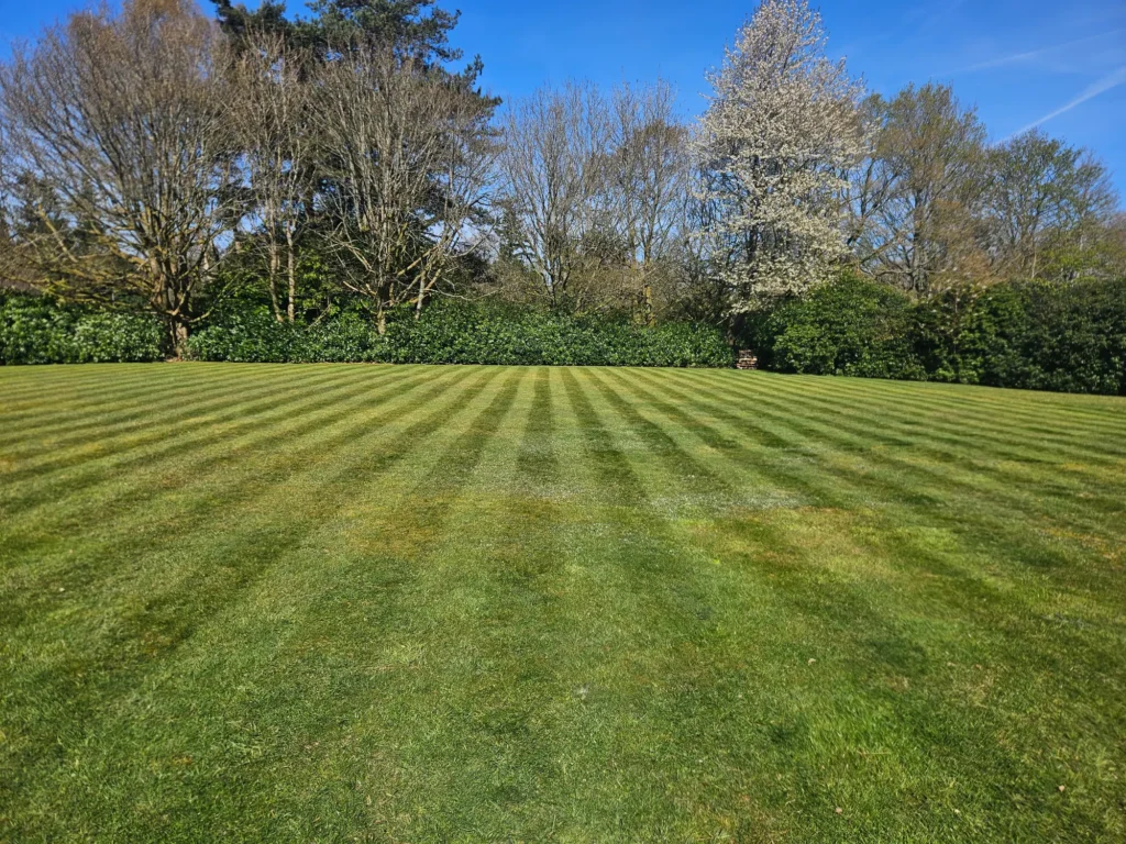 Large open lawn freshly mown with visible striped finish.