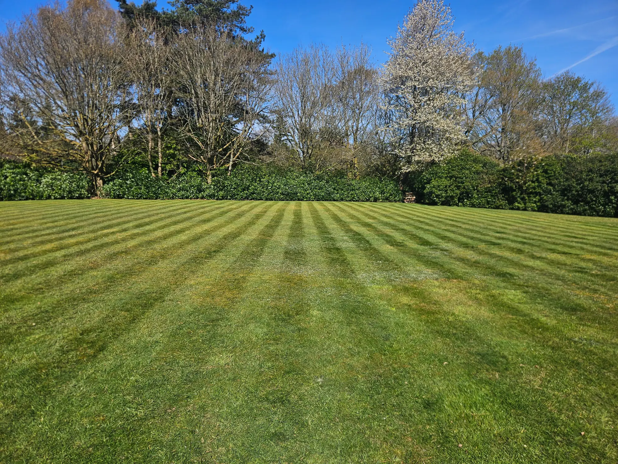 Large open lawn freshly mown with visible striped finish.