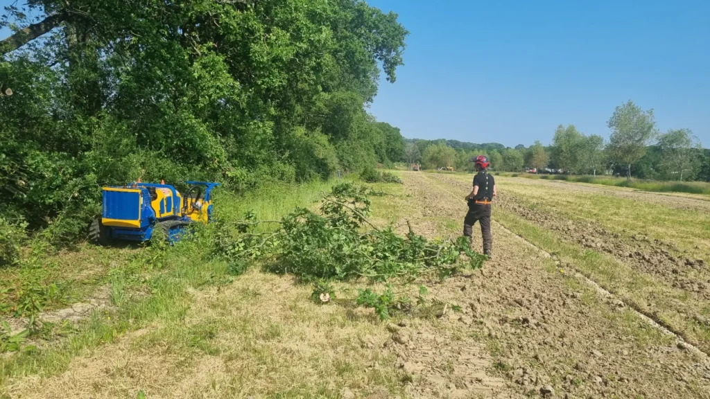 Operative cutting back dense vegetation along the edge of an open field.